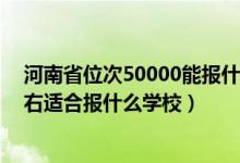 河南省位次50000能報什么院校（河南高考位次200000左右適合報什么學(xué)校）