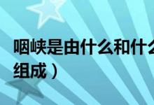 咽峽是由什么和什么共同圍成（咽峽是由什么組成）