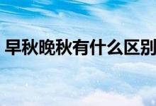早秋晚秋有什么區(qū)別（早秋晚秋區(qū)別有哪些）