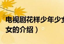 電視劇花樣少年少女(關于電視劇花樣少年少女的介紹)