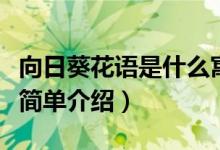向日葵花語是什么寓意是啥（向日葵花語寓意簡單介紹）