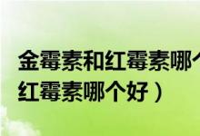 金霉素和紅霉素哪個治烏龜白眼?。ń鹈顾睾图t霉素哪個好）