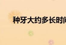 種牙大約多長時間（種牙大約多少錢）