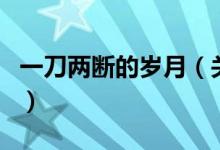 一刀兩斷的歲月（關(guān)于一刀兩斷的歲月的介紹）