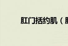 肛門括約?。ǜ亻T括約肌在哪里）