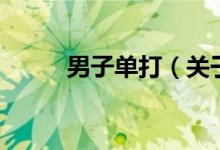 男子單打（關(guān)于男子單打的介紹）