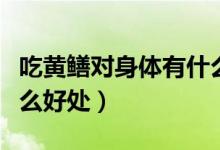 吃黃鱔對身體有什么好處（吃黃鱔對身體有什么好處）