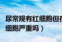 尿常規(guī)有紅細(xì)胞但在參考值以內(nèi)（尿常規(guī)有紅細(xì)胞嚴(yán)重嗎）