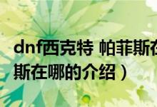 dnf西克特 帕菲斯在哪（關于dnf西克特 帕菲斯在哪的介紹）