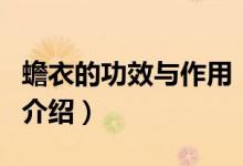 蟾衣的功效與作用（關(guān)于蟾衣的功效與作用的介紹）