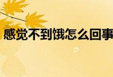 感覺不到餓怎么回事（感覺不到餓怎么回事）