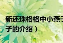 新還珠格格中小燕子（關(guān)于新還珠格格中小燕子的介紹）