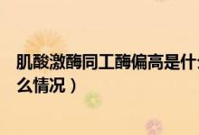 肌酸激酶同工酶偏高是什么情況（肌酸激酶同工酶偏高是什么情況）