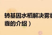 轉(zhuǎn)基因水稻解決霧霾（關(guān)于轉(zhuǎn)基因水稻解決霧霾的介紹）