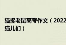 貓捉老鼠高考作文（2022高考經(jīng)典零分作文：吃魚與捕鼠的貓兒們）