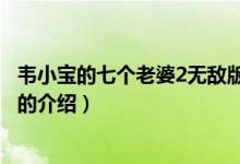 韋小寶的七個老婆2無敵版（關于韋小寶的七個老婆2無敵版的介紹）