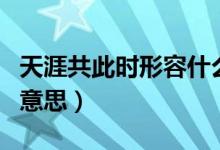 天涯共此時形容什么意思（天涯共此時表達(dá)的意思）
