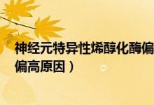 神經(jīng)元特異性烯醇化酶偏高27.40（神經(jīng)元特異性烯醇化酶偏高原因）