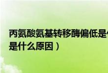 丙氨酸氨基轉(zhuǎn)移酶偏低是什么癥狀（丙氨酸氨基轉(zhuǎn)移酶偏低是什么原因）