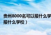 貴州8000名可以報(bào)什么學(xué)校（貴州高考位次20000左右適合報(bào)什么學(xué)校）
