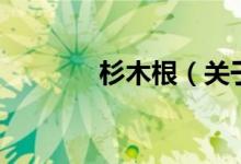 杉木根（關(guān)于杉木根的介紹）