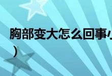 胸部變大怎么回事小說污（胸部變大怎么回事）