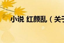 小說(shuō) 紅顏亂（關(guān)于小說(shuō) 紅顏亂的介紹）