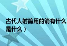 古代人射箭用的箭有什么不同（古代弓箭和現代弓箭的差別是什么）