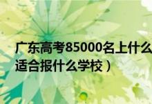 廣東高考85000名上什么學校（廣東高考位次170000左右適合報什么學校）