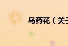 烏藥花（關(guān)于烏藥花的介紹）