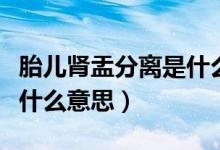 胎兒腎盂分離是什么引起的（胎兒腎盂分離是什么意思）
