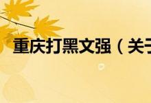 重慶打黑文強（關(guān)于重慶打黑文強的介紹）