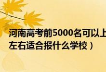 河南高考前5000名可以上什么學(xué)校（河南高考位次200000左右適合報(bào)什么學(xué)校）
