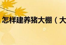 怎樣建養(yǎng)豬大棚（大棚式豬舍建造方法簡介）