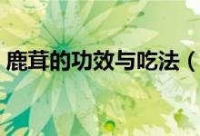鹿茸的功效與吃法（關于鹿茸的功效與吃法）
