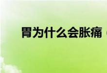 胃為什么會(huì)脹痛（胃為什么會(huì)反酸水）