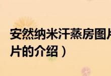 安然納米汗蒸房圖片（關于安然納米汗蒸房圖片的介紹）