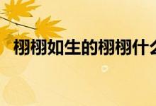 栩栩如生的栩栩什么意思（栩栩如生含義）
