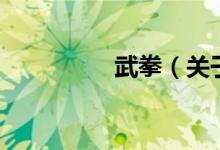 武拳(關于武拳的介紹)
