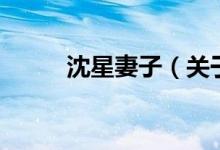 沈星妻子（關(guān)于沈星妻子的介紹）
