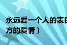 永遠愛一個人的表白句子說說（怎么表達對對方的愛情）