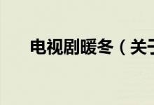 電視劇暖冬（關(guān)于電視劇暖冬的介紹）
