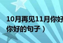 10月再見11月你好語(yǔ)錄（關(guān)于10月再見11月你好的句子）