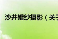 沙井婚紗攝影(關于沙井婚紗攝影的介紹)