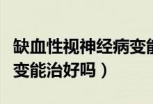 缺血性視神經(jīng)病變能治好嗎（缺血性視神經(jīng)病變能治好嗎）