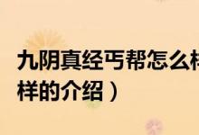 九陰真經(jīng)丐幫怎么樣（關于九陰真經(jīng)丐幫怎么樣的介紹）