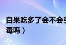 白果吃多了會(huì)不會(huì)引起腹瀉（白果吃多了會(huì)中毒嗎）