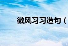 微風(fēng)習(xí)習(xí)造句（利用微風(fēng)習(xí)習(xí)造句）