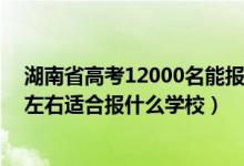 湖南省高考12000名能報什么學校（湖南高考位次120000左右適合報什么學校）