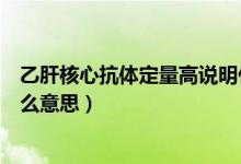 乙肝核心抗體定量高說(shuō)明什么意思（乙肝核心抗體定量是什么意思）